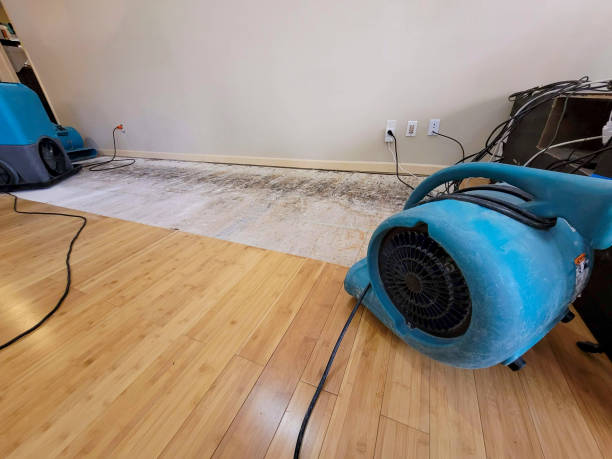 Professional Sewage Cleanup technician working in Corbett, OR